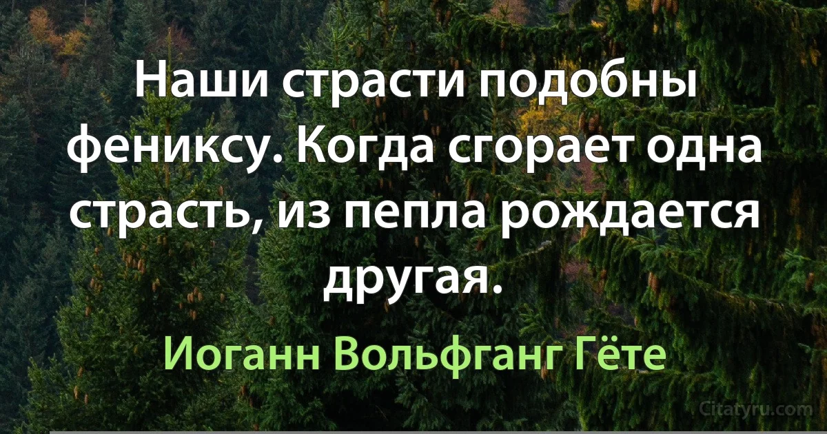 Наши страсти подобны фениксу. Когда сгорает одна страсть, из пепла рождается другая. (Иоганн Вольфганг Гёте)