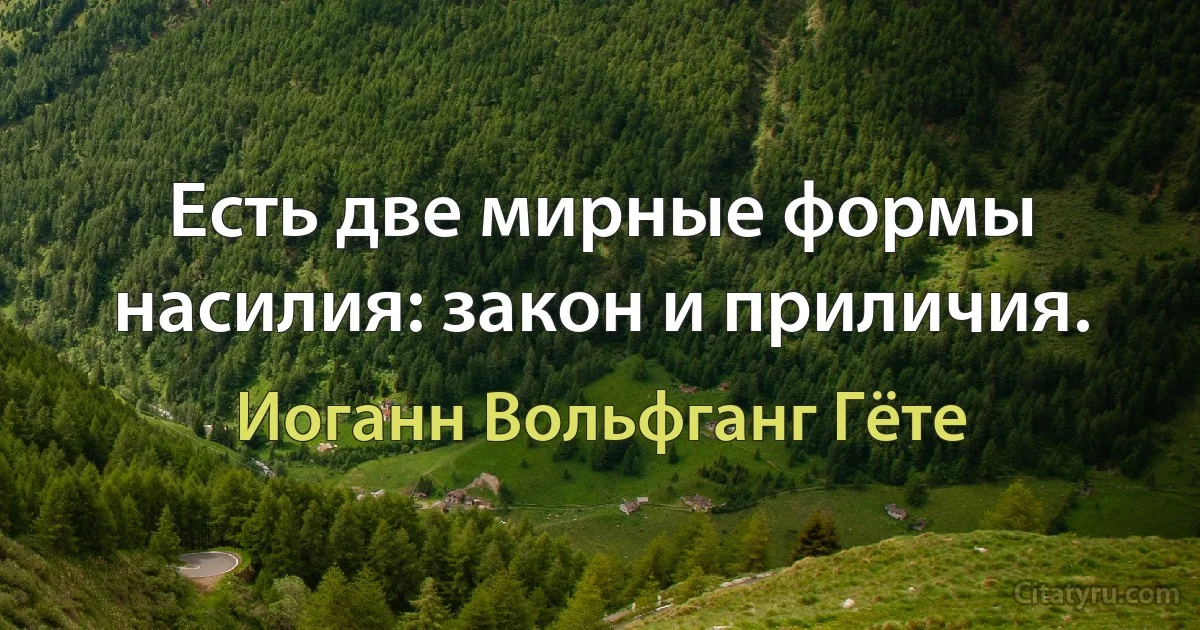 Есть две мирные формы насилия: закон и приличия. (Иоганн Вольфганг Гёте)