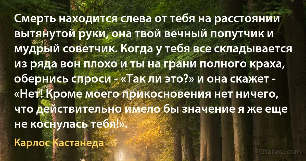 Смерть находится слева от тебя на расстоянии вытянутой руки, она твой вечный попутчик и мудрый советчик. Когда у тебя все складывается из ряда вон плохо и ты на грани полного краха, обернись спроси - «Так ли это?» и она скажет - «Нет! Кроме моего прикосновения нет ничего, что действительно имело бы значение я же еще не коснулась тебя!». (Карлос Кастанеда)