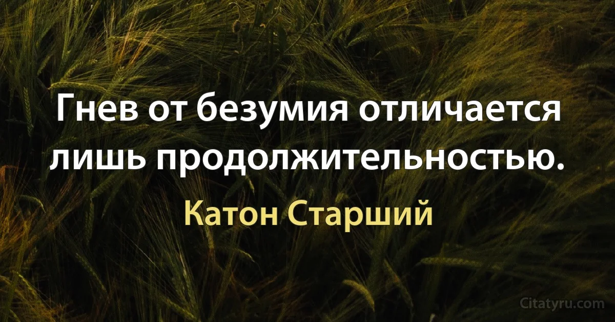 Гнев от безумия отличается лишь продолжительностью. (Катон Старший)