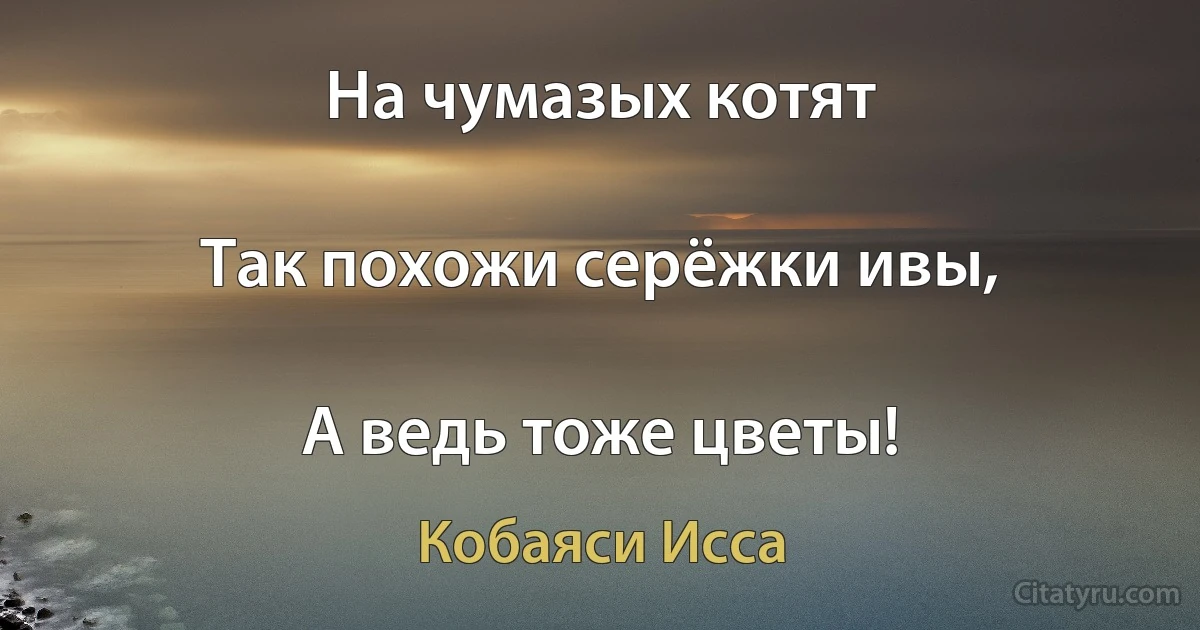 На чумазых котят

Так похожи серёжки ивы,

А ведь тоже цветы! (Кобаяси Исса)