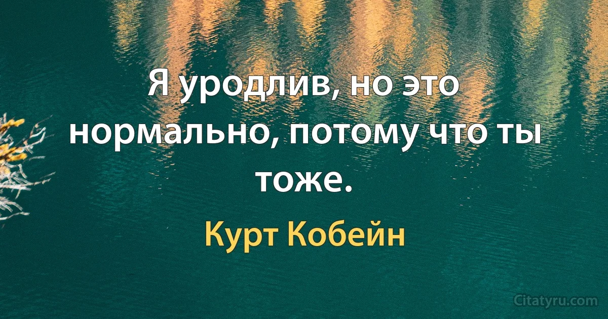 Я уродлив, но это нормально, потому что ты тоже. (Курт Кобейн)