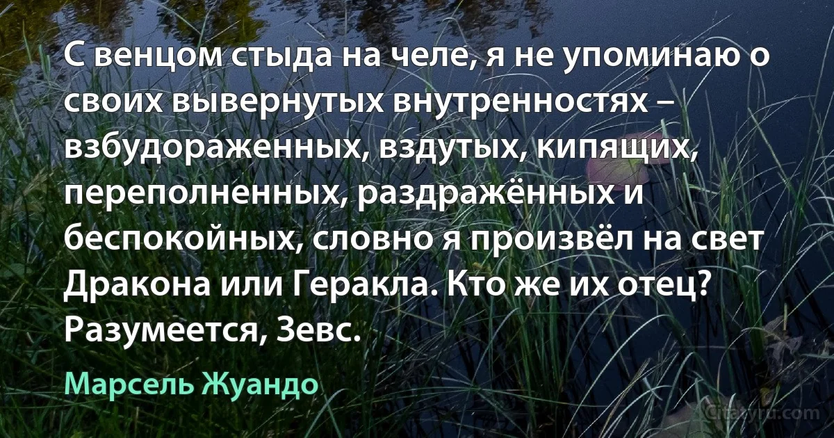 С венцом стыда на челе, я не упоминаю о своих вывернутых внутренностях – взбудораженных, вздутых, кипящих, переполненных, раздражённых и беспокойных, словно я произвёл на свет Дракона или Геракла. Кто же их отец? Разумеется, Зевс. (Марсель Жуандо)