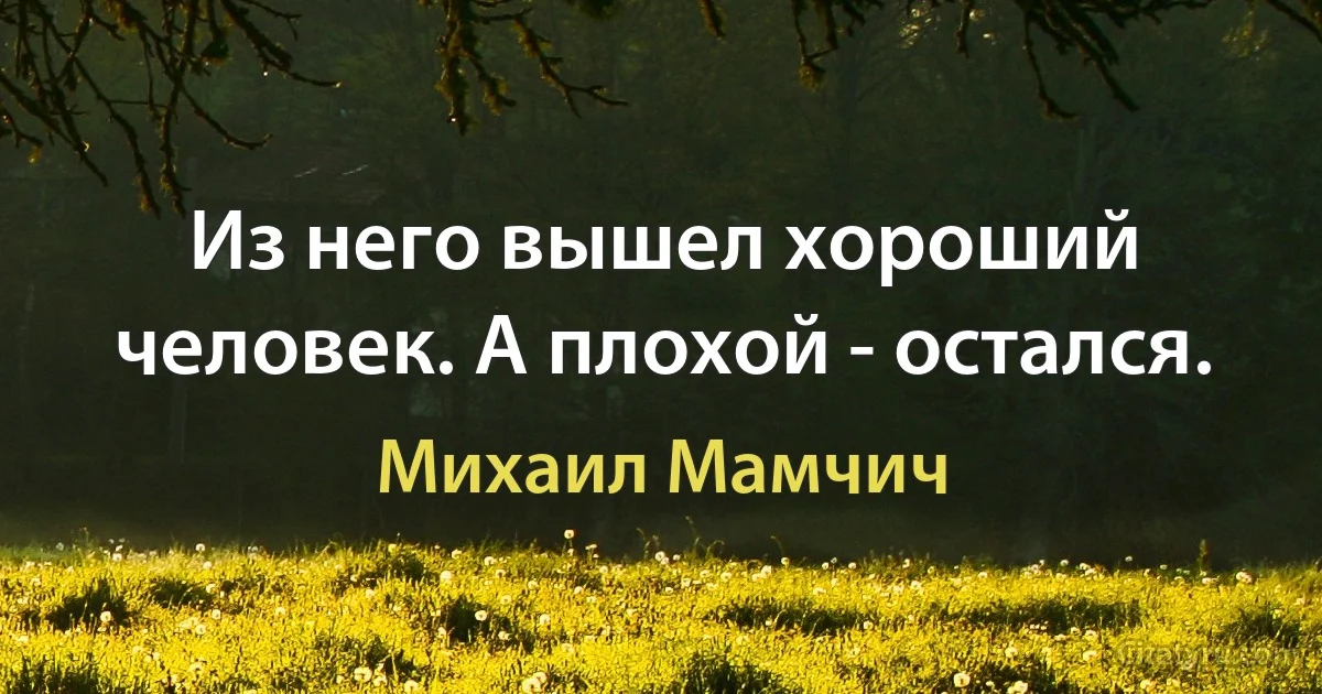 Из него вышел хороший человек. А плохой - остался. (Михаил Мамчич)