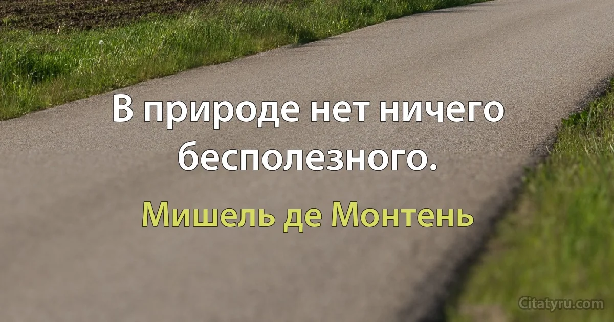 В природе нет ничего бесполезного. (Мишель де Монтень)