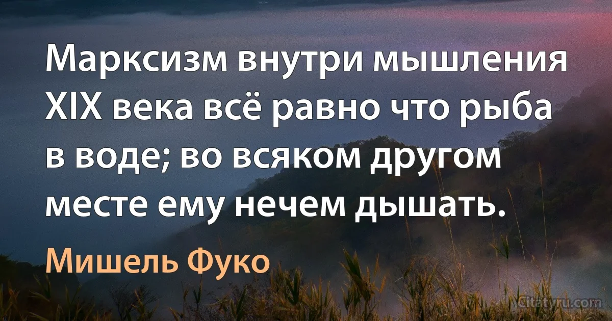 Марксизм внутри мышления XIX века всё равно что рыба в воде; во всяком другом месте ему нечем дышать. (Мишель Фуко)