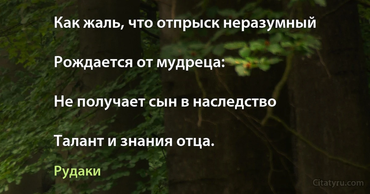 Как жаль, что отпрыск неразумный

Рождается от мудреца:

Не получает сын в наследство

Талант и знания отца. (Рудаки)