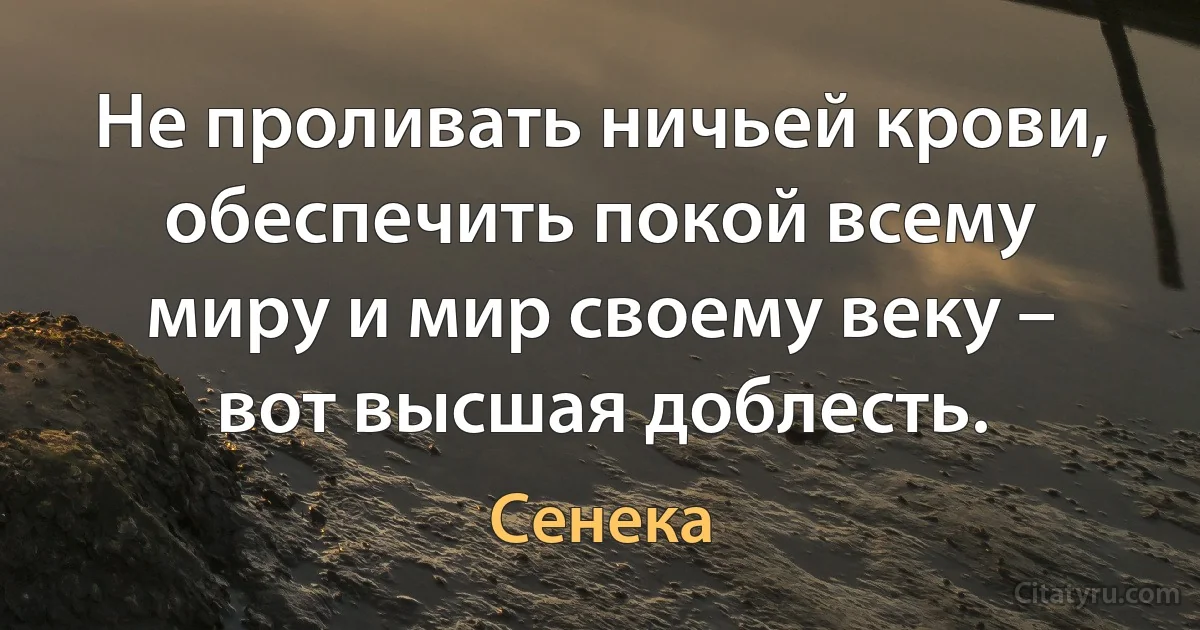 Не проливать ничьей крови, обеспечить покой всему миру и мир своему веку – вот высшая доблесть. (Сенека)