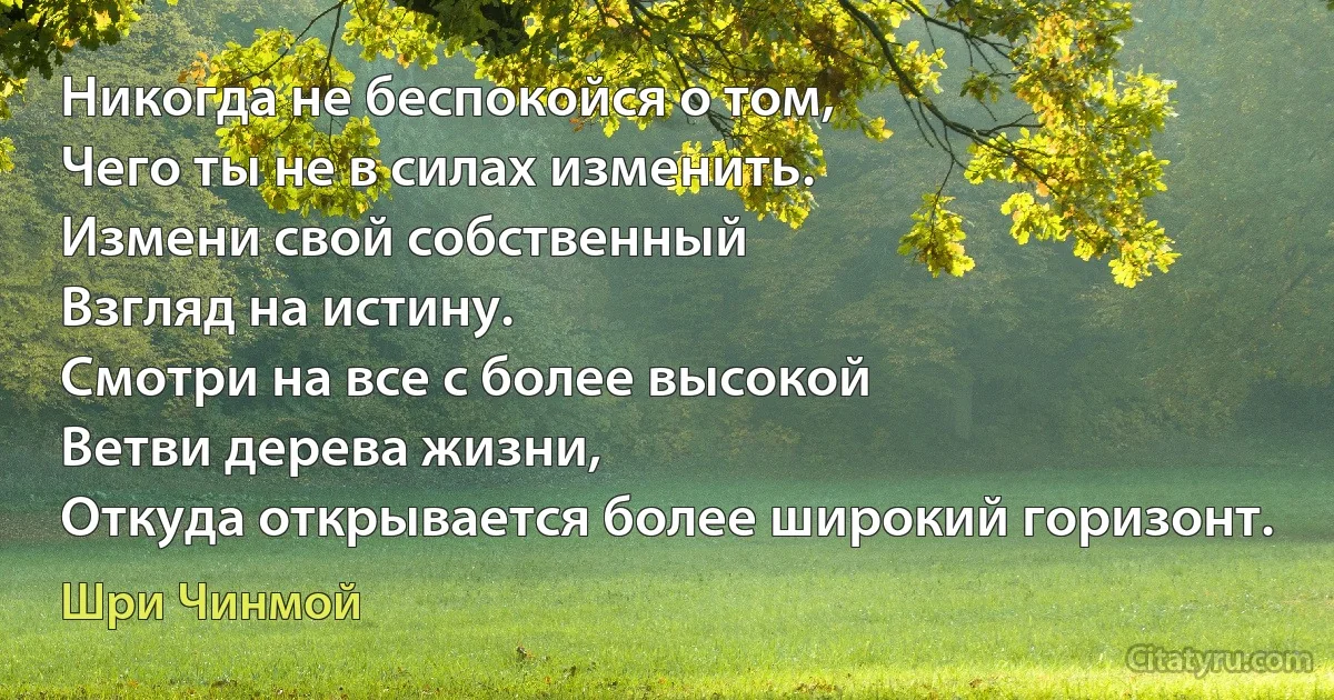 Никогда не беспокойся о том,
Чего ты не в силах изменить.
Измени свой собственный
Взгляд на истину.
Смотри на все с более высокой
Ветви дерева жизни,
Откуда открывается более широкий горизонт. (Шри Чинмой)