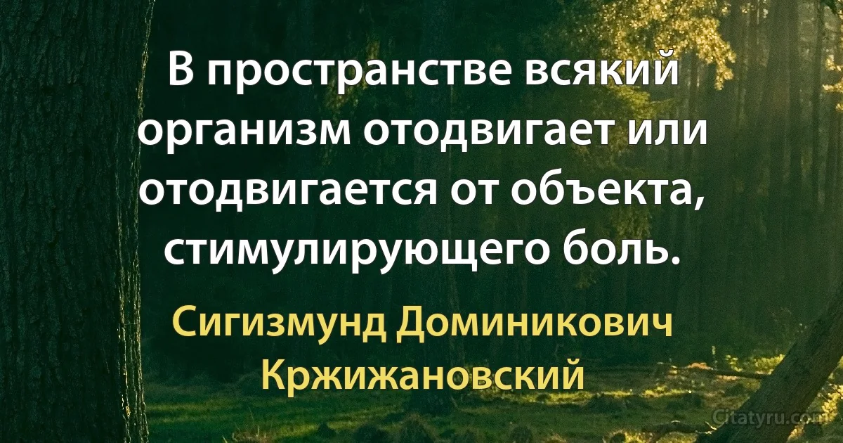 В пространстве всякий организм отодвигает или отодвигается от объекта, стимулирующего боль. (Сигизмунд Доминикович Кржижановский)