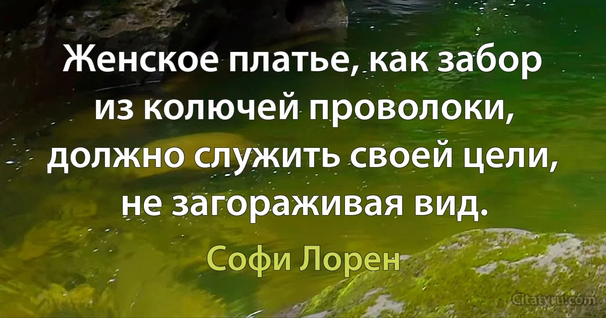 Женское платье, как забор из колючей проволоки, должно служить своей цели, не загораживая вид. (Софи Лорен)