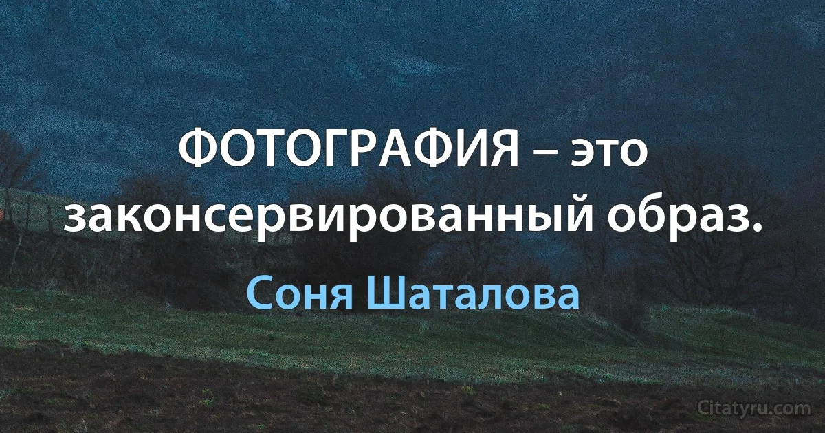 ФОТОГРАФИЯ – это законсервированный образ. (Соня Шаталова)