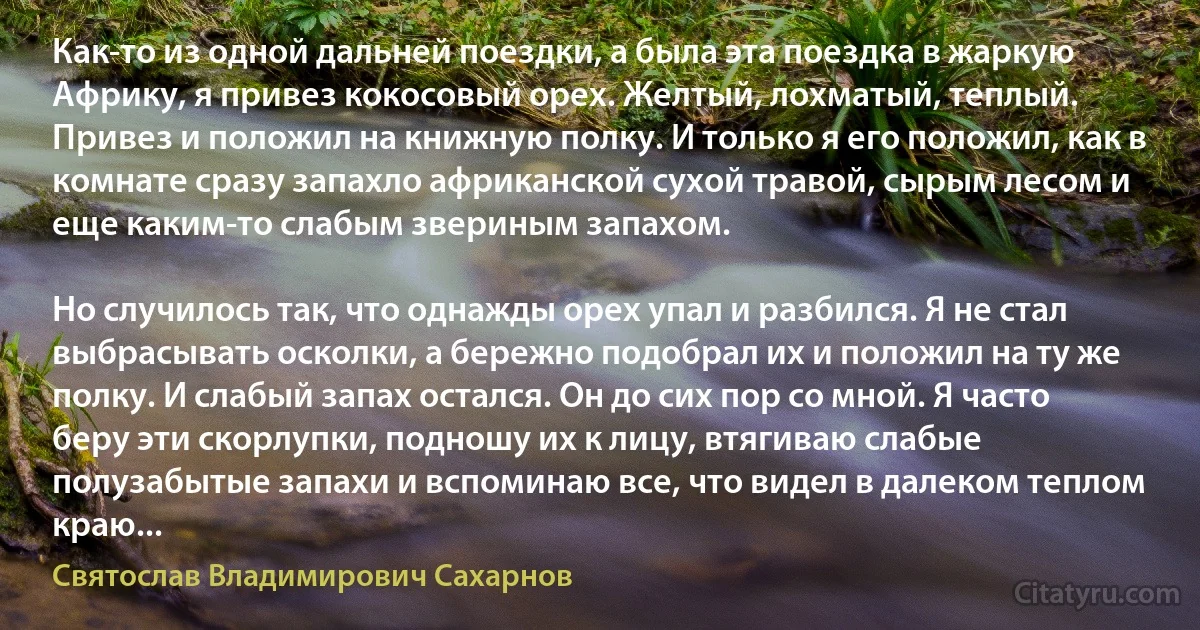 Как-то из одной дальней поездки, а была эта поездка в жаркую Африку, я привез кокосовый орех. Желтый, лохматый, теплый. Привез и положил на книжную полку. И только я его положил, как в комнате сразу запахло африканской сухой травой, сырым лесом и еще каким-то слабым звериным запахом.

Но случилось так, что однажды орех упал и разбился. Я не стал выбрасывать осколки, а бережно подобрал их и положил на ту же полку. И слабый запах остался. Он до сих пор со мной. Я часто беру эти скорлупки, подношу их к лицу, втягиваю слабые полузабытые запахи и вспоминаю все, что видел в далеком теплом краю... (Святослав Владимирович Сахарнов)