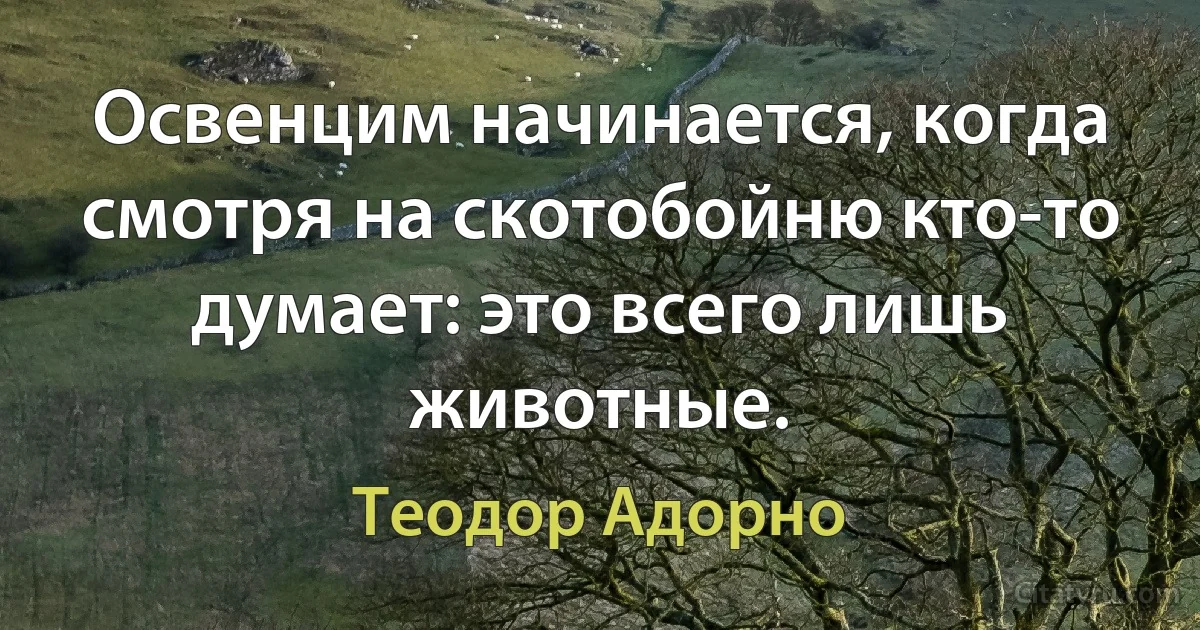 Освенцим начинается, когда смотря на скотобойню кто-то думает: это всего лишь животные. (Теодор Адорно)