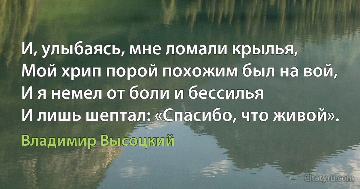 И, улыбаясь, мне ломали крылья,
Мой хрип порой похожим был на вой,
И я немел от боли и бессилья
И лишь шептал: «Спасибо, что живой». (Владимир Высоцкий)