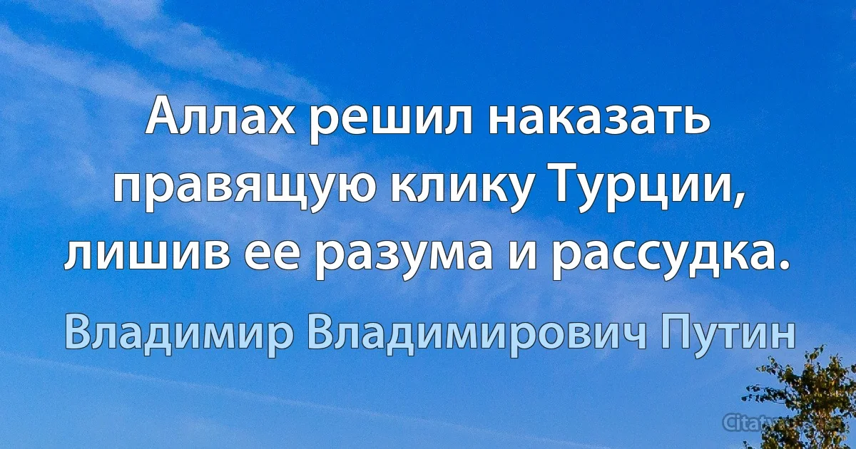 Аллах решил наказать правящую клику Турции, лишив ее разума и рассудка. (Владимир Владимирович Путин)