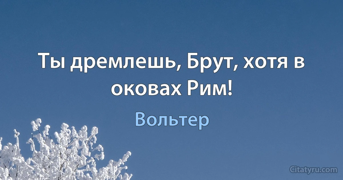 Ты дремлешь, Брут, хотя в оковах Рим! (Вольтер)