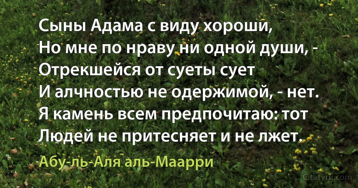 Сыны Адама с виду хороши,
Но мне по нраву ни одной души, -
Отрекшейся от суеты сует
И алчностью не одержимой, - нет.
Я камень всем предпочитаю: тот
Людей не притесняет и не лжет. (Абу-ль-Аля аль-Маарри)