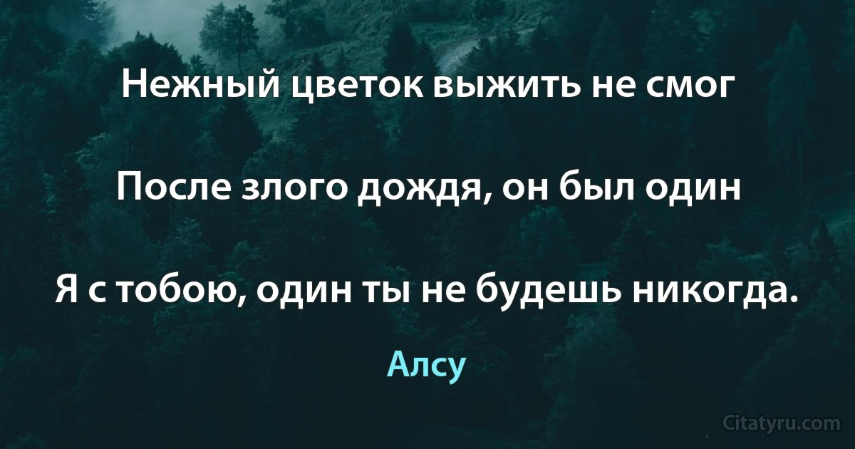 Нежный цветок выжить не смог

После злого дождя, он был один

Я с тобою, один ты не будешь никогда. (Алсу)