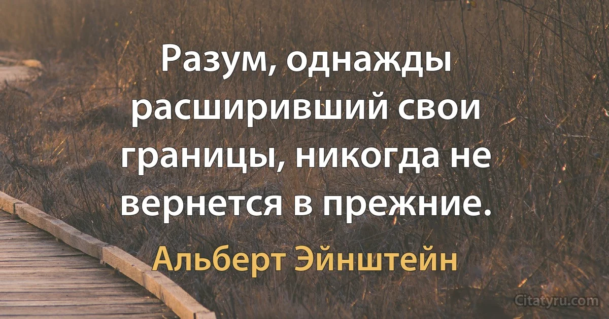 Разум, однажды расширивший свои границы, никогда не вернется в прежние. (Альберт Эйнштейн)