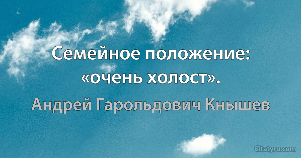 Семейное положение: «очень холост». (Андрей Гарольдович Кнышев)