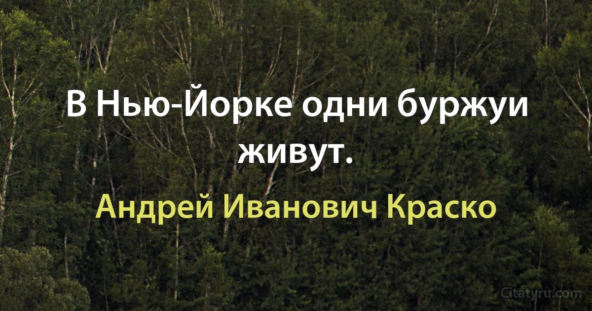 В Нью-Йорке одни буржуи живут. (Андрей Иванович Краско)