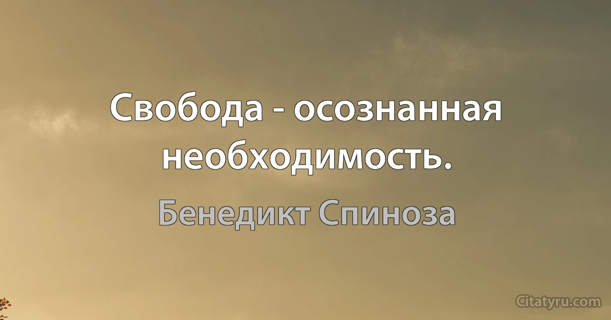 Свобода - осознанная необходимость. (Бенедикт Спиноза)