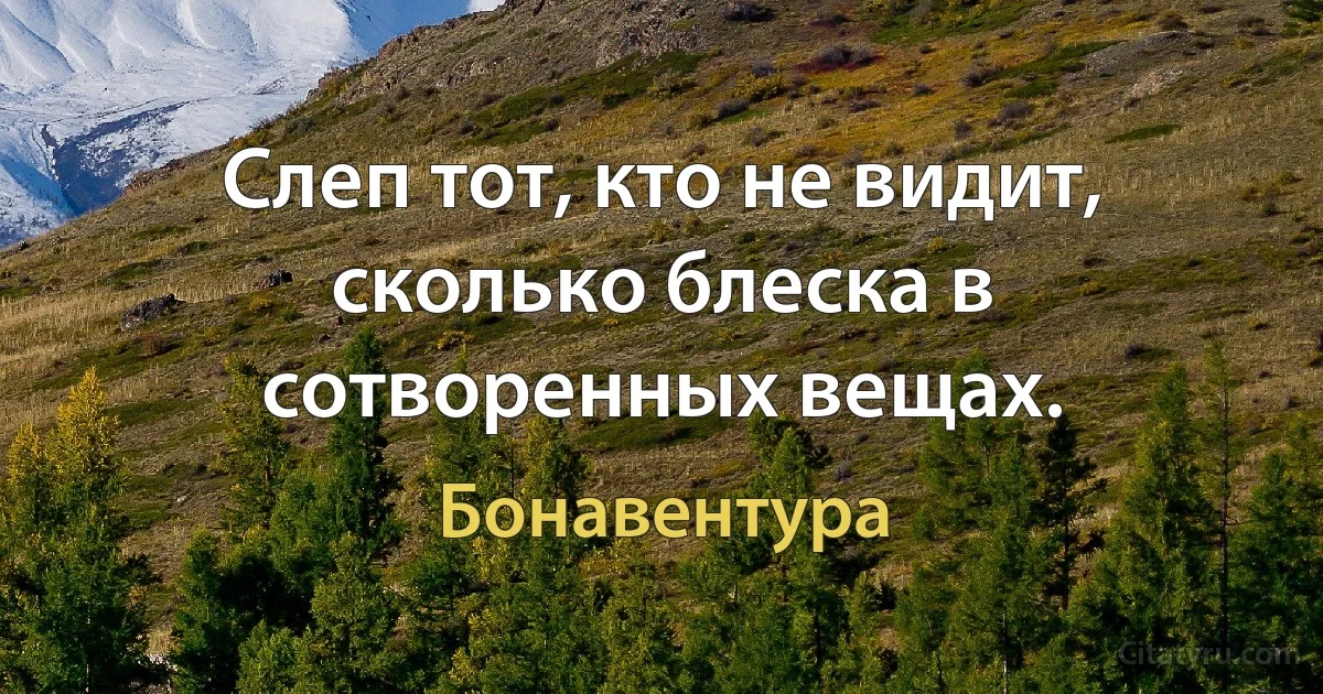 Слеп тот, кто не видит, сколько блеска в сотворенных вещах. (Бонавентура)