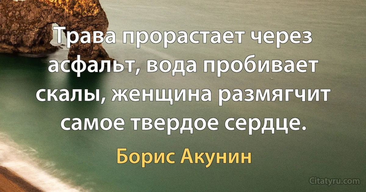 Трава прорастает через асфальт, вода пробивает скалы, женщина размягчит самое твердое сердце. (Борис Акунин)