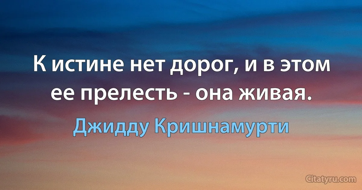 К истине нет дорог, и в этом ее прелесть - она живая. (Джидду Кришнамурти)