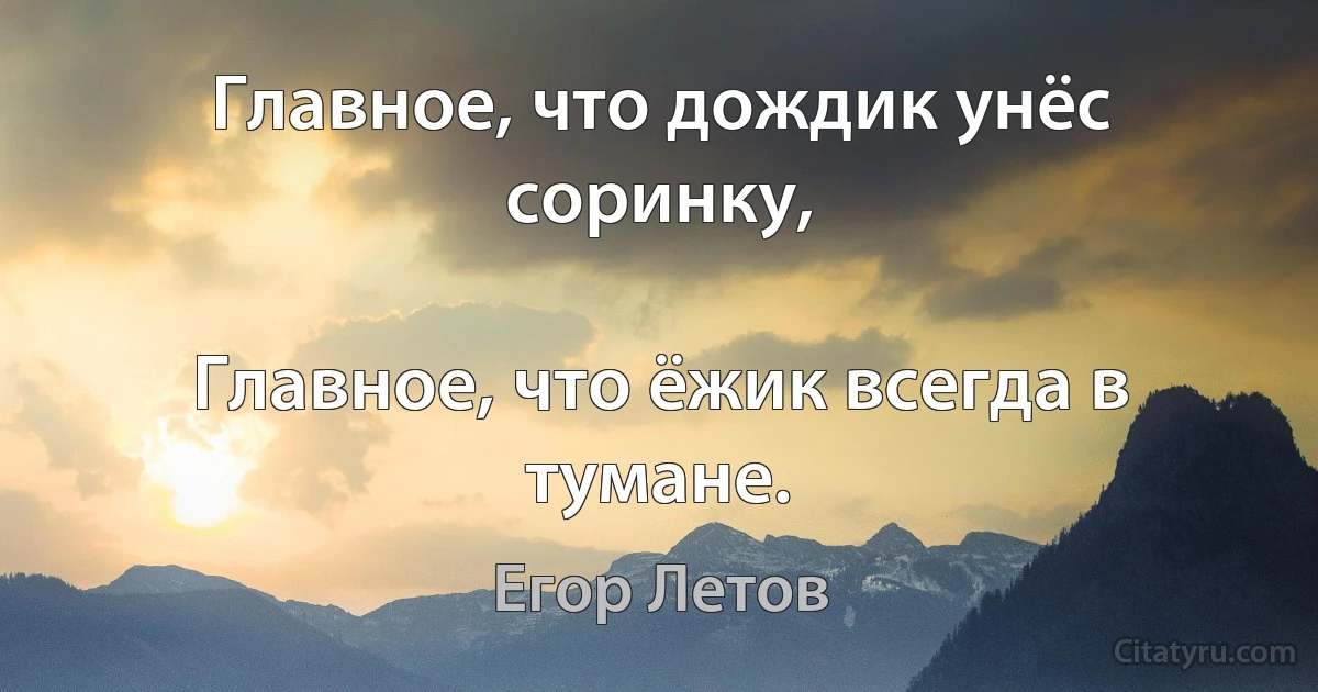 Главное, что дождик унёс соринку,

Главное, что ёжик всегда в тумане. (Егор Летов)