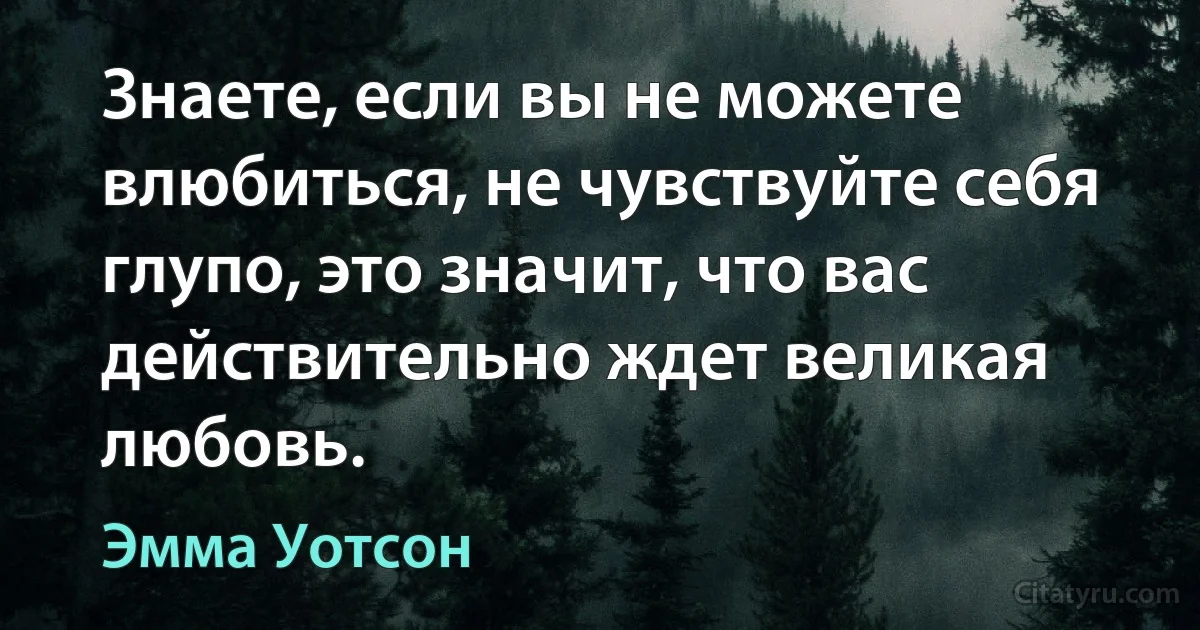 Знаете, если вы не можете влюбиться, не чувствуйте себя глупо, это значит, что вас действительно ждет великая любовь. (Эмма Уотсон)