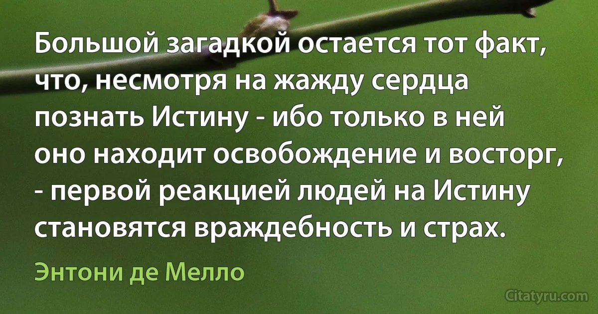 Большой загадкой остается тот факт, что, несмотря на жажду сердца познать Истину - ибо только в ней оно находит освобождение и восторг, - первой реакцией людей на Истину становятся враждебность и страх. (Энтони де Мелло)