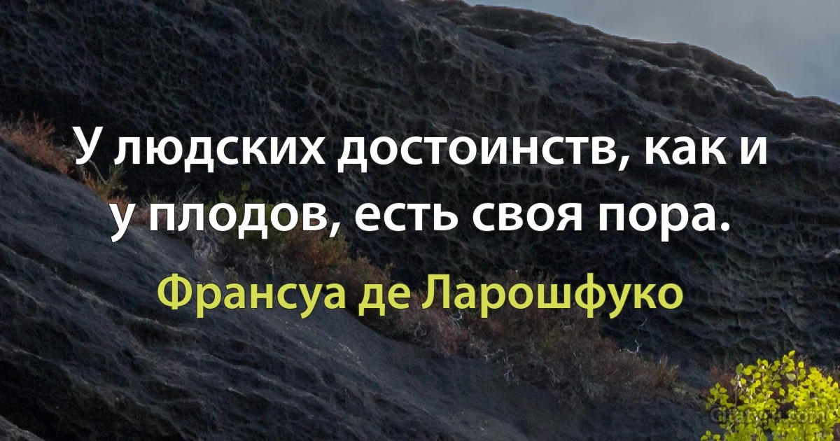 У людских достоинств, как и у плодов, есть своя пора. (Франсуа де Ларошфуко)