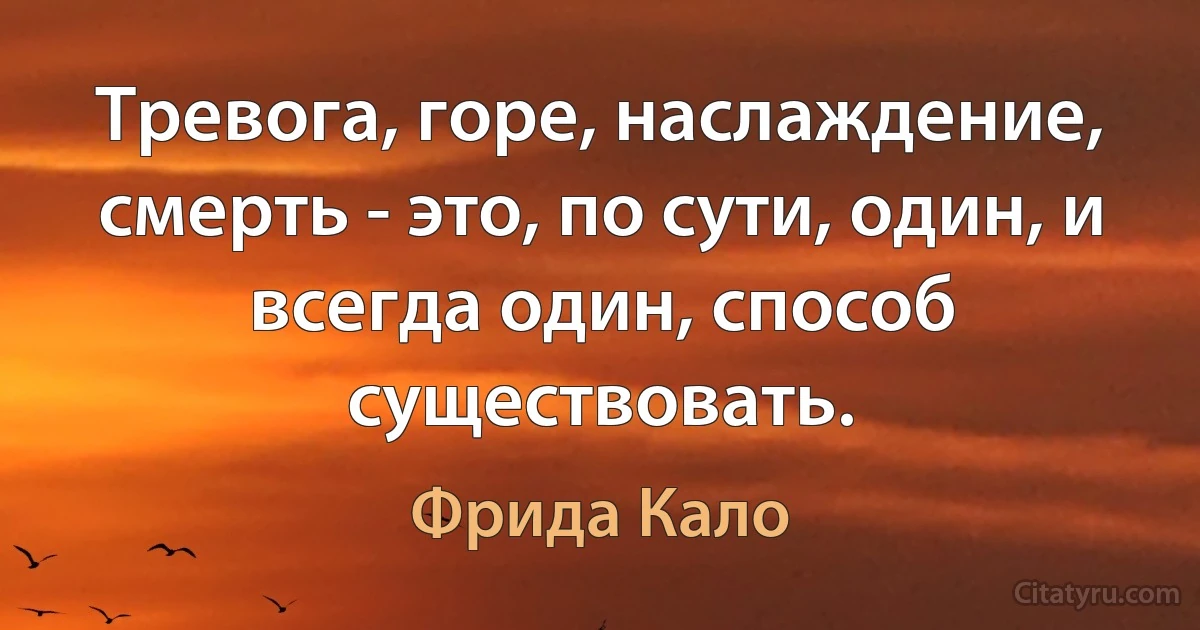 Тревога, горе, наслаждение, смерть - это, по сути, один, и всегда один, способ существовать. (Фрида Кало)