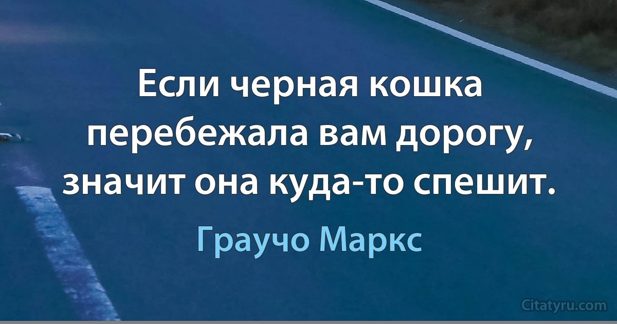 Если черная кошка перебежала вам дорогу, значит она куда-то спешит. (Граучо Маркс)