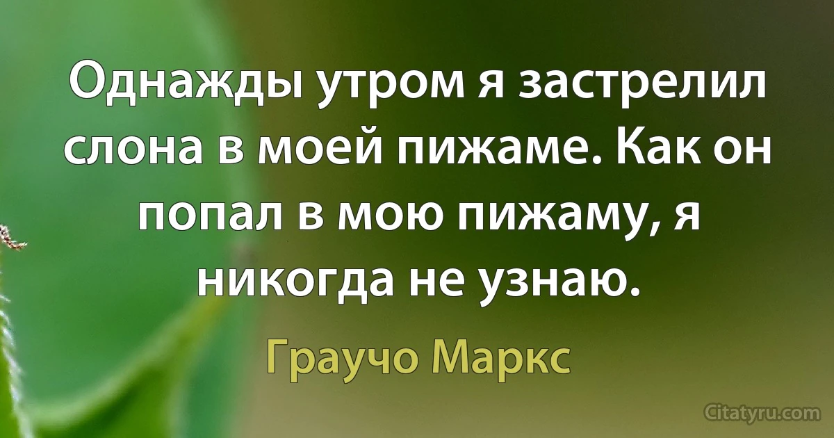 Однажды утром я застрелил слона в моей пижаме. Как он попал в мою пижаму, я никогда не узнаю. (Граучо Маркс)