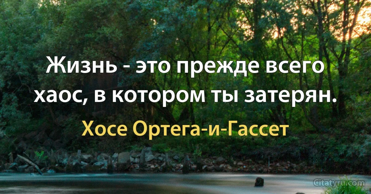 Жизнь - это прежде всего хаос, в котором ты затерян. (Хосе Ортега-и-Гассет)