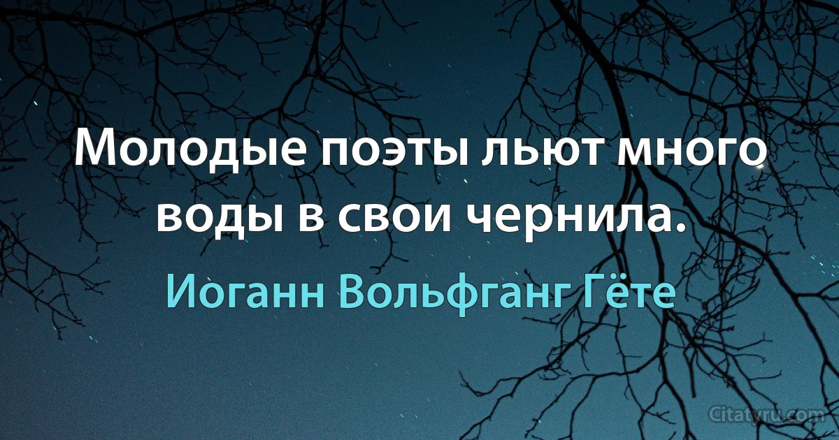 Молодые поэты льют много воды в свои чернила. (Иоганн Вольфганг Гёте)