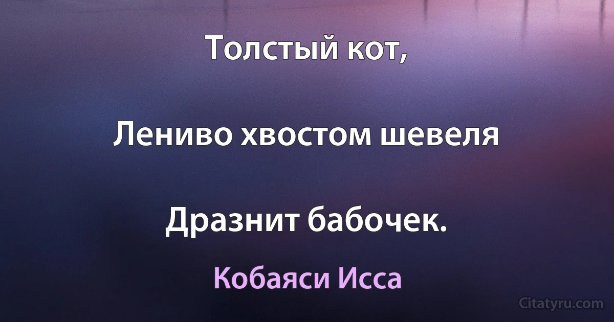 Толстый кот,

Лениво хвостом шевеля

Дразнит бабочек. (Кобаяси Исса)