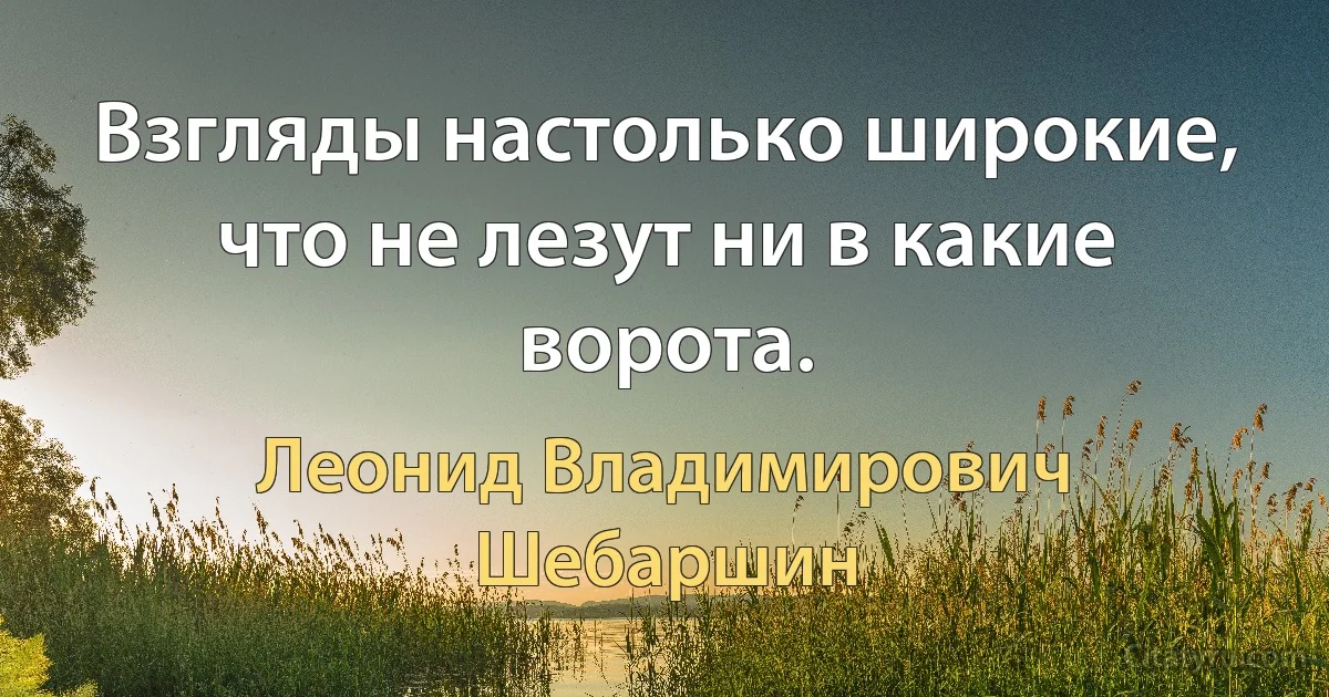 Взгляды настолько широкие, что не лезут ни в какие ворота. (Леонид Владимирович Шебаршин)