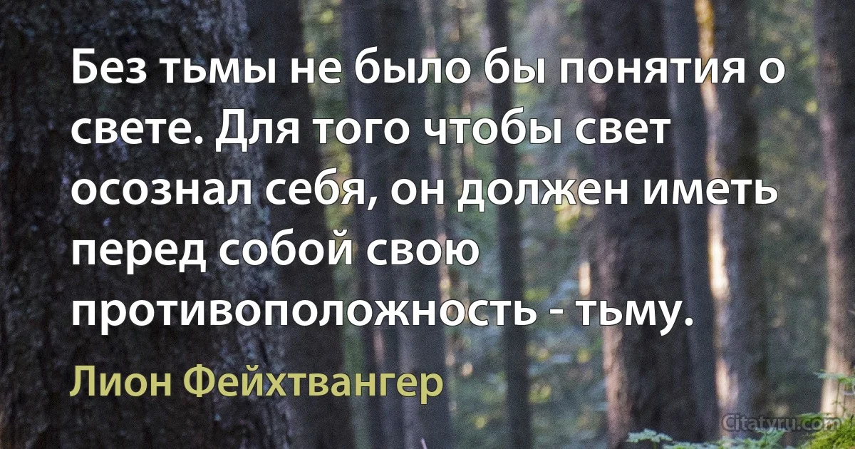 Без тьмы не было бы понятия о свете. Для того чтобы свет осознал себя, он должен иметь перед собой свою противоположность - тьму. (Лион Фейхтвангер)