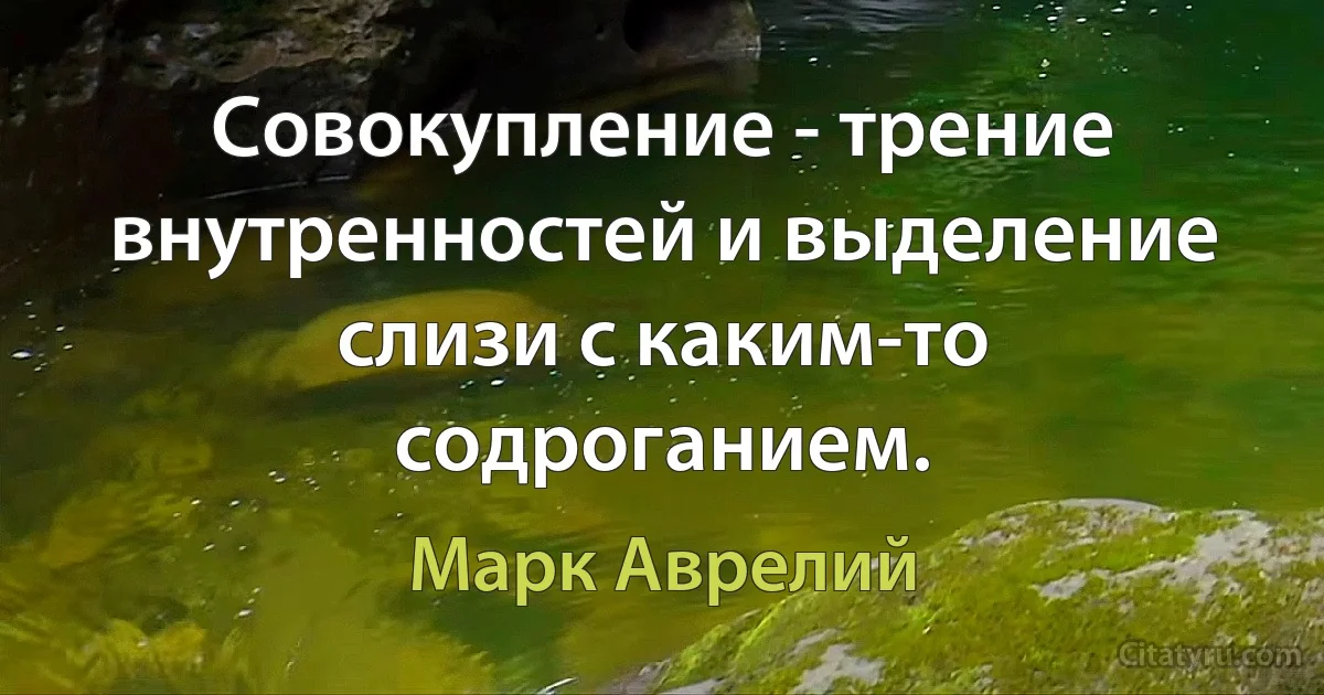 Совокупление - трение внутренностей и выделение слизи с каким-то содроганием. (Марк Аврелий)