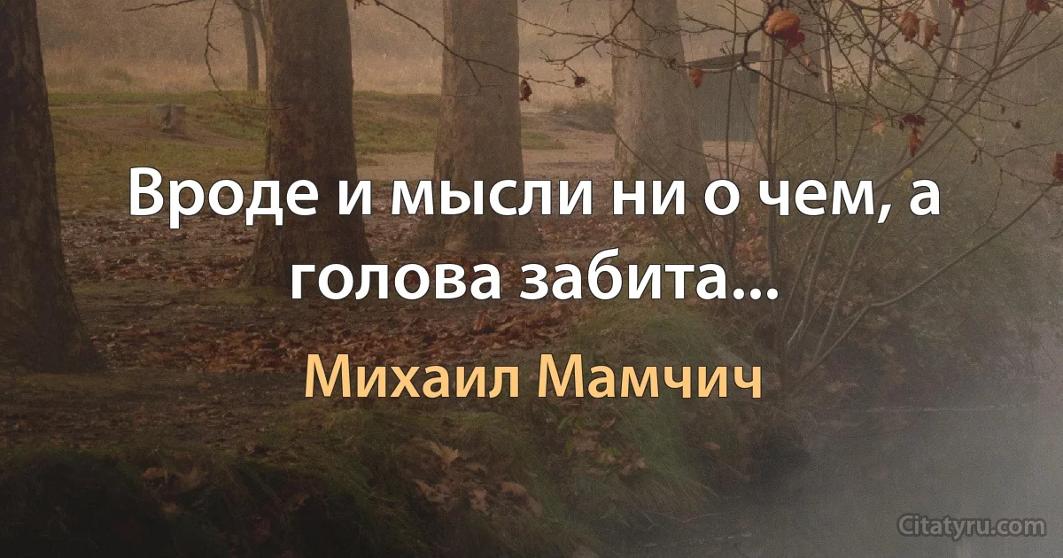 Вроде и мысли ни о чем, а голова забита... (Михаил Мамчич)