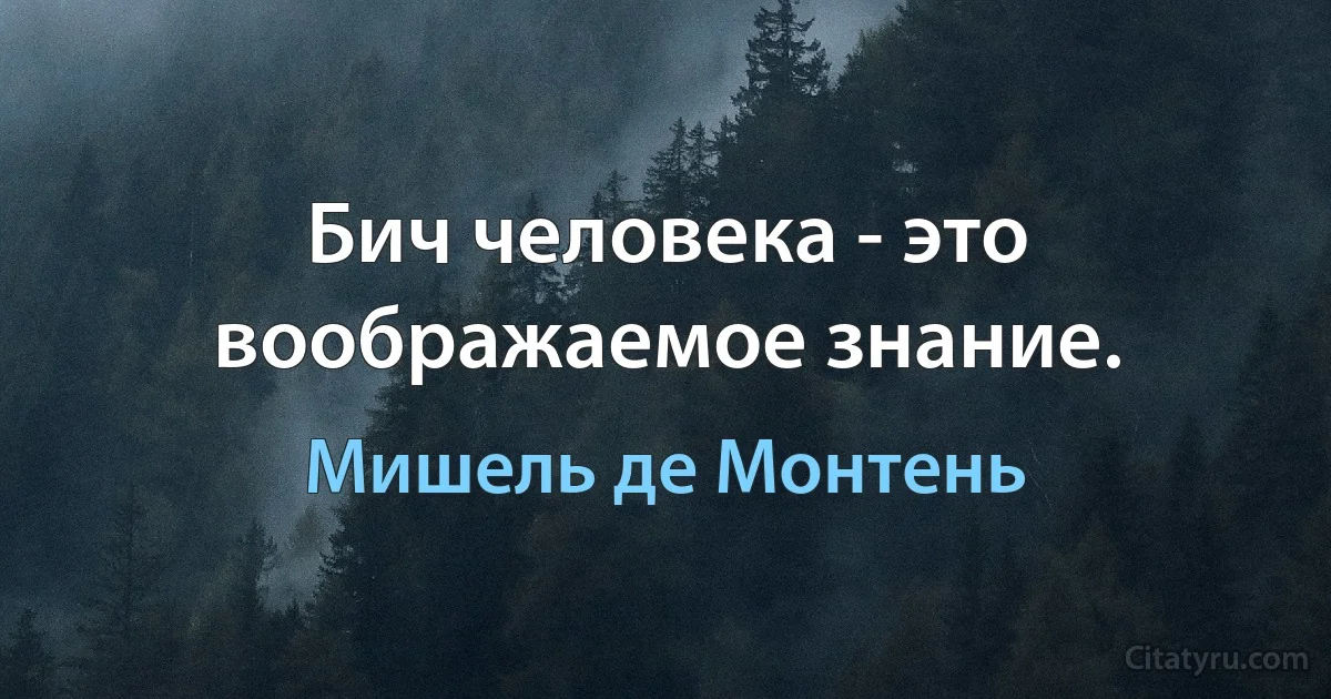 Бич человека - это воображаемое знание. (Мишель де Монтень)