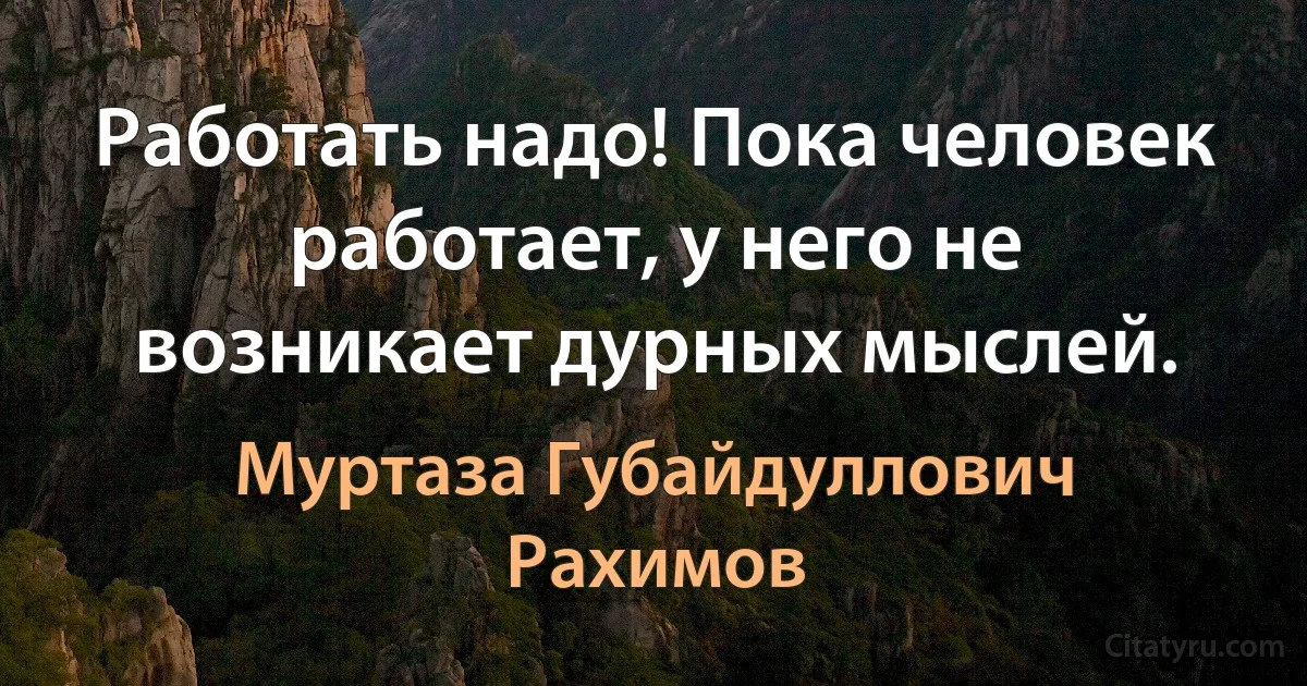 Работать надо! Пока человек работает, у него не возникает дурных мыслей. (Муртаза Губайдуллович Рахимов)