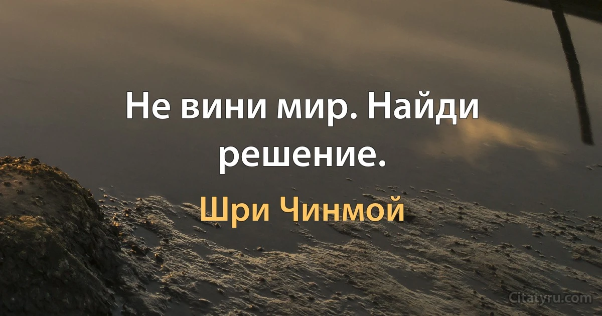 Не вини мир. Найди решение. (Шри Чинмой)