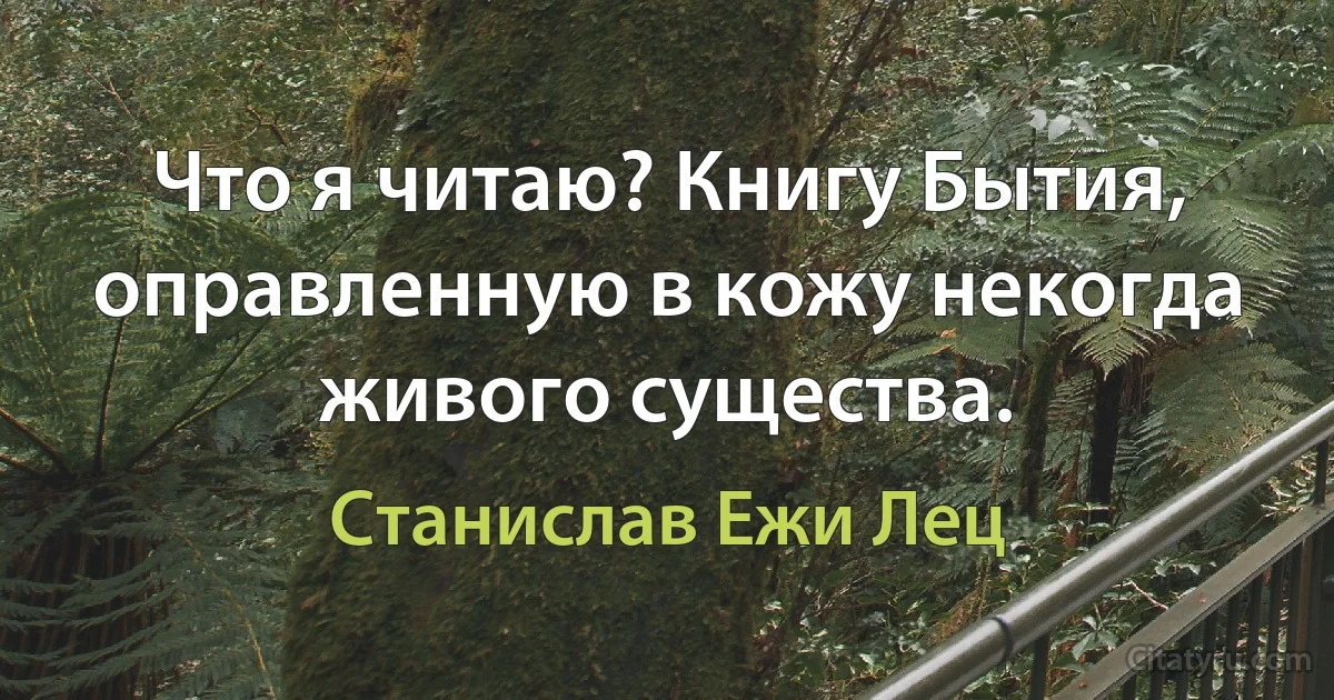 Что я читаю? Книгу Бытия, оправленную в кожу некогда живого существа. (Станислав Ежи Лец)