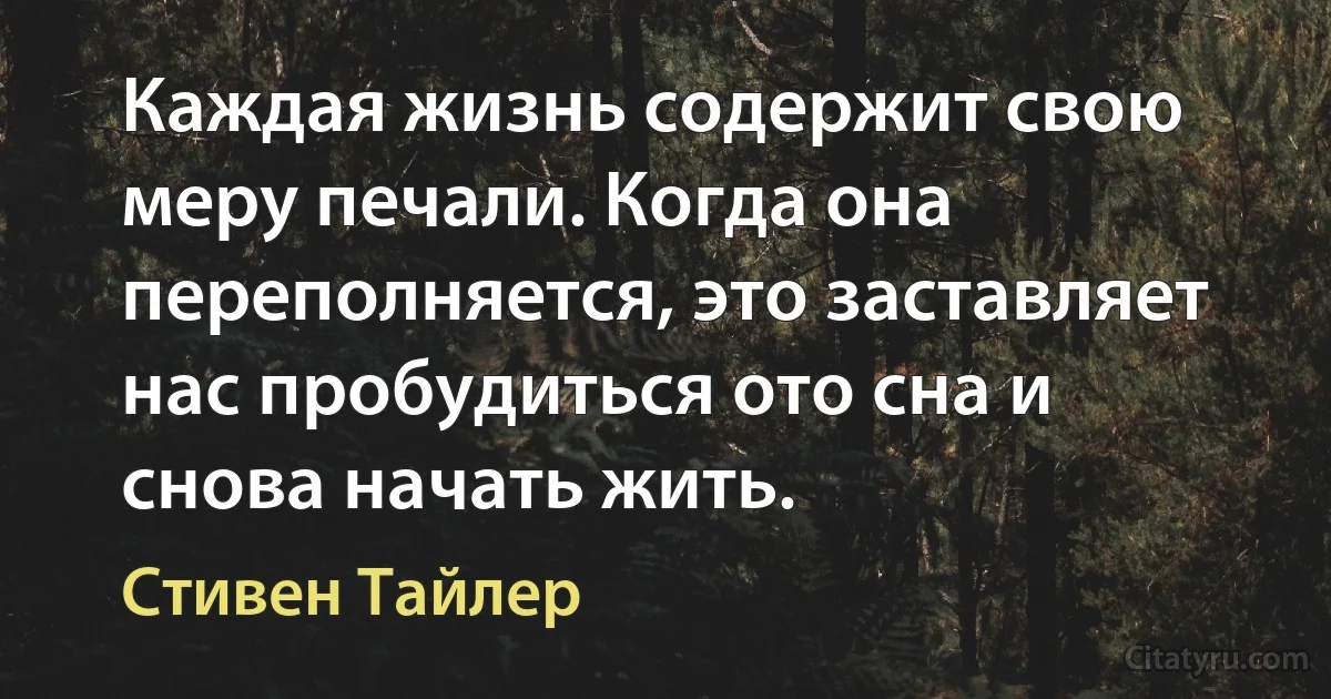 Каждая жизнь содержит свою меру печали. Когда она переполняется, это заставляет нас пробудиться ото сна и снова начать жить. (Стивен Тайлер)