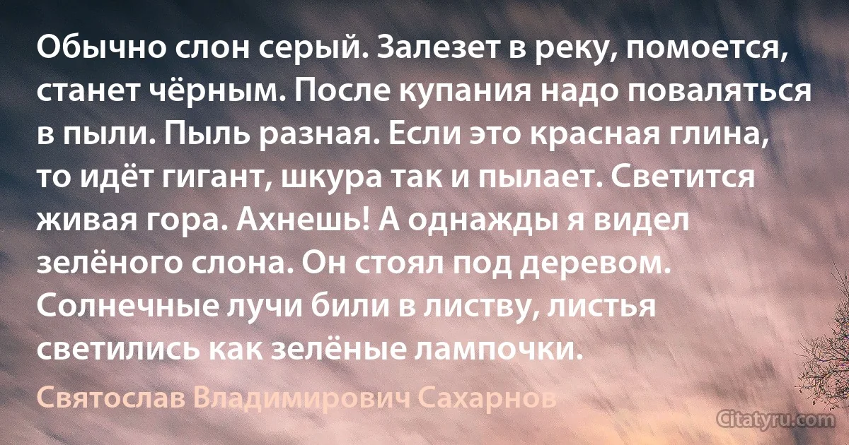 Обычно слон серый. Залезет в реку, помоется, станет чёрным. После купания надо поваляться в пыли. Пыль разная. Если это красная глина, то идёт гигант, шкура так и пылает. Светится живая гора. Ахнешь! А однажды я видел зелёного слона. Он стоял под деревом. Солнечные лучи били в листву, листья светились как зелёные лампочки. (Святослав Владимирович Сахарнов)